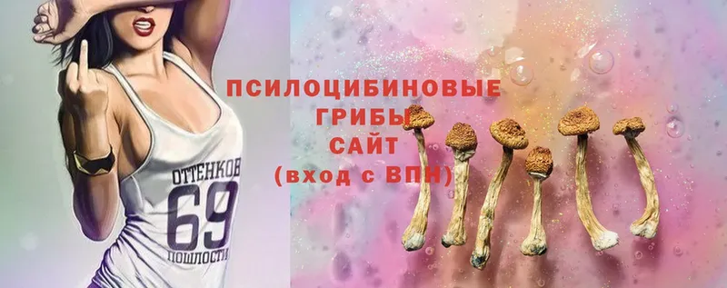 Галлюциногенные грибы MAGIC MUSHROOMS  хочу   Луховицы 